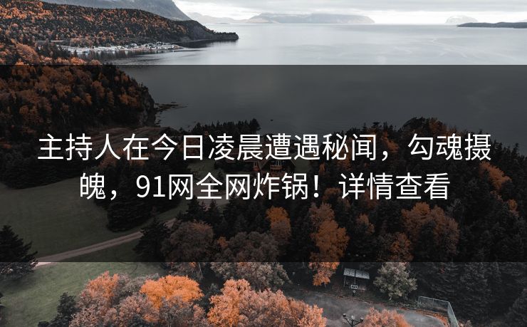 主持人在今日凌晨遭遇秘闻，勾魂摄魄，91网全网炸锅！详情查看