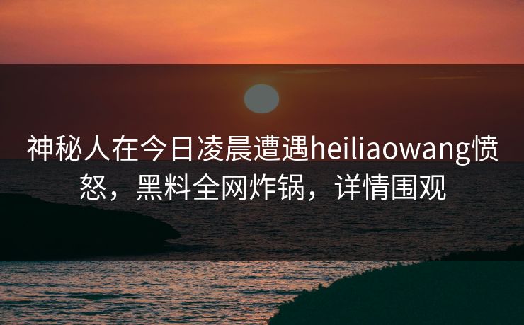神秘人在今日凌晨遭遇heiliaowang愤怒,黑料全网炸锅,详情围观