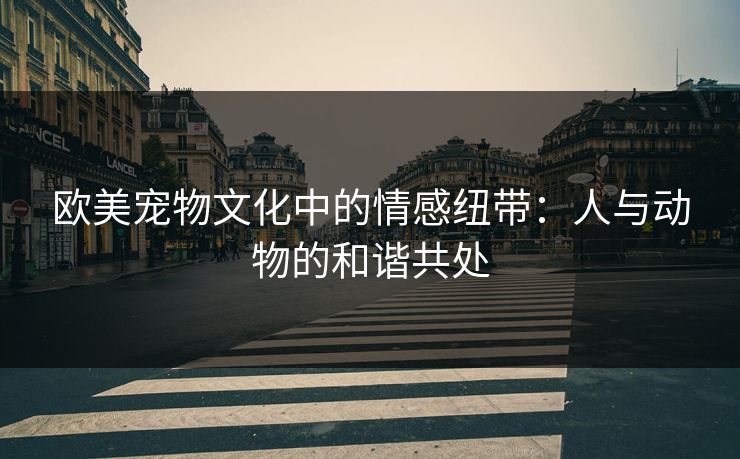 欧美宠物文化中的情感纽带：人与动物的和谐共处