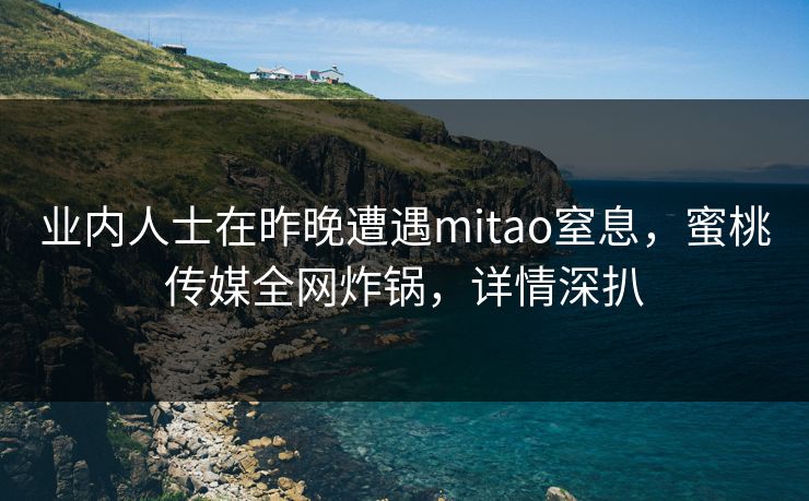 业内人士在昨晚遭遇mitao窒息,蜜桃传媒全网炸锅,详情深扒