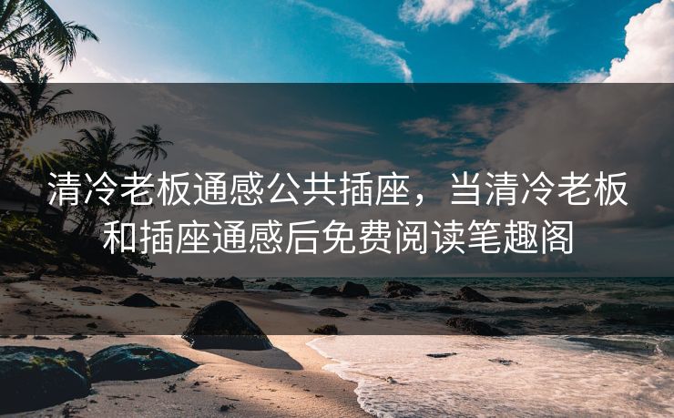 清冷老板通感公共插座，当清冷老板和插座通感后免费阅读笔趣阁